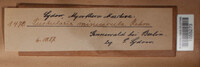 Image Associated With the Occurence